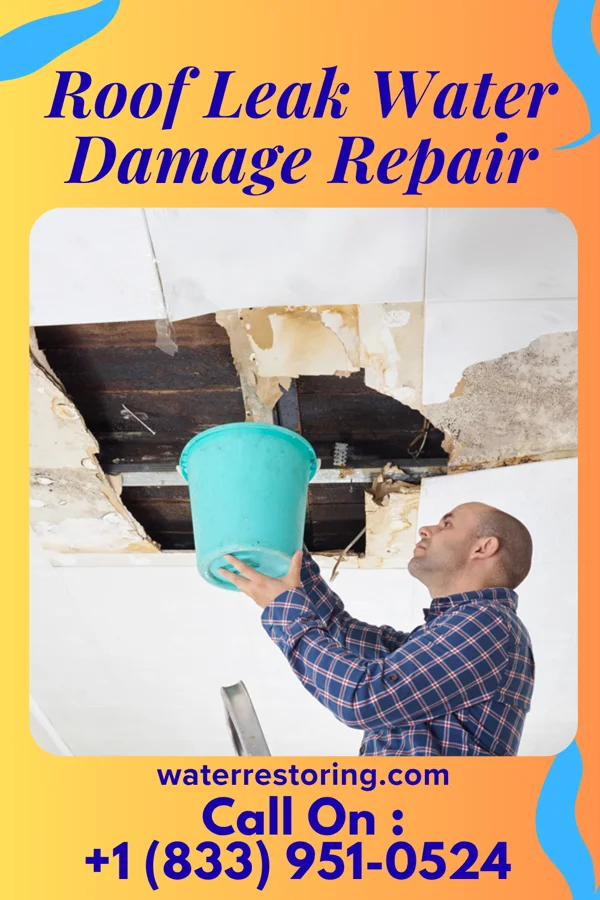 Roof Leak Water Damage Repair in Union Beach, NJ