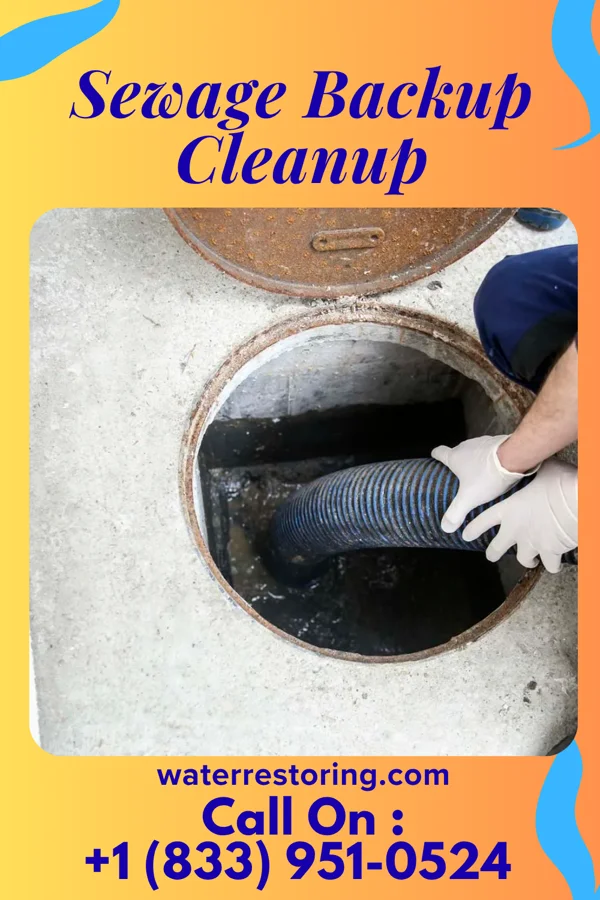 Sewage Backup Cleanup in Union Beach, NJ